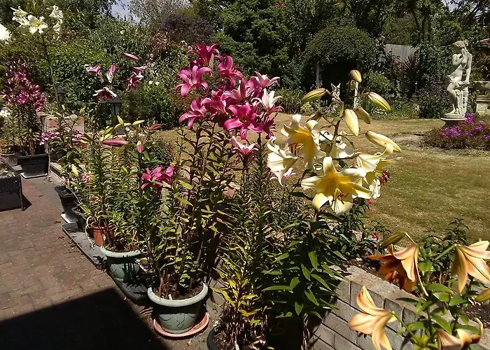 Cherry Garden B&B
