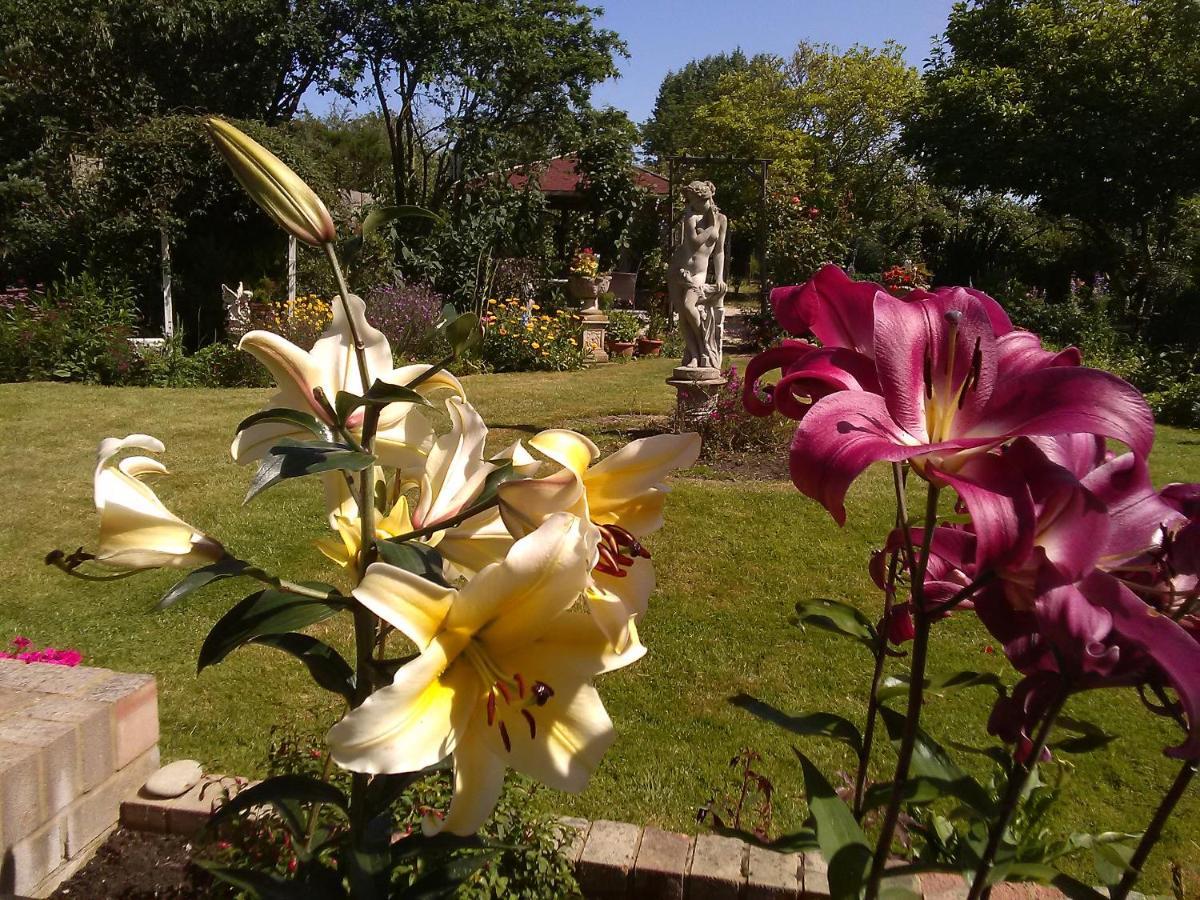 Homestay Cherry Garden