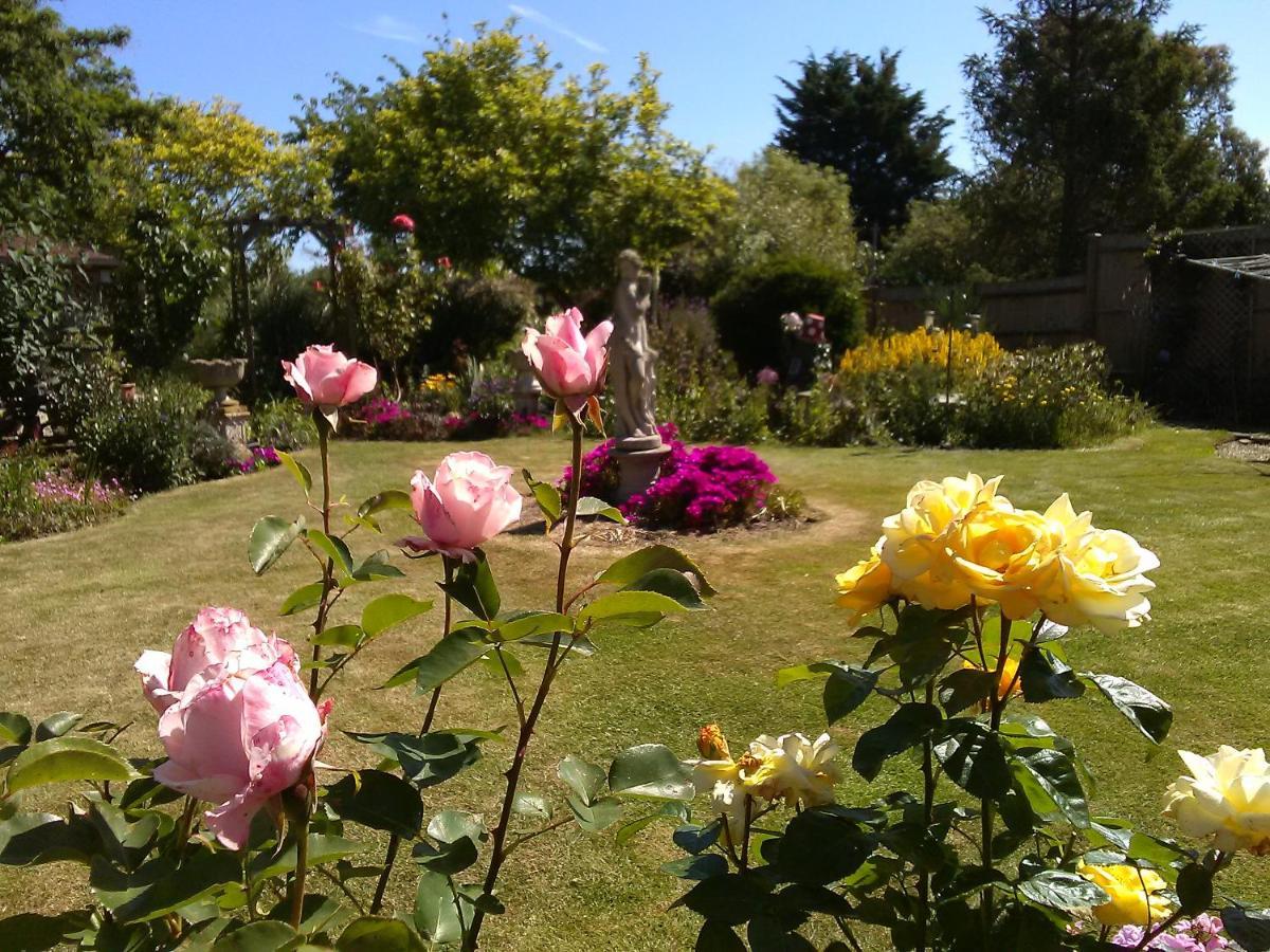 Cherry Garden Homestay Folkestone